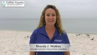 Red Tide Facts and Myths