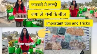 मिट्टी  से लेकर सीड लगाने तक पूरी जानकारी, How to grow summer seeds in January 