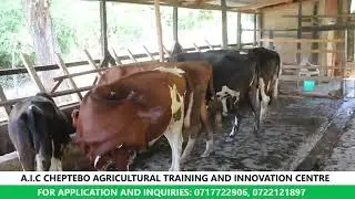 CHEPTEBO AGRICULTURAL TRAINING AND INNOVATION CENTRE - COURSES