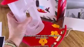 Svanur Hummingbird feeder with camera and solar panel