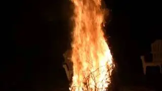 Christmas Tree in August