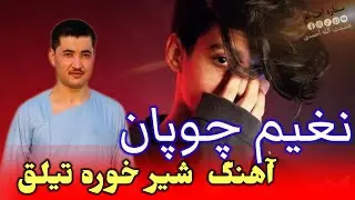 نغیم چوپان آوازنده آهنگ شیر خوره تیلق چه 🎤🥰😍🎻🪕📼