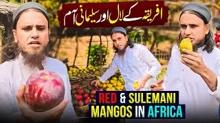 Red And Sulemani Mangos In Africa - Vlog  | Mufti Tariq Masood Speeches 🕋