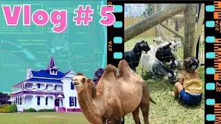 Vlog #5 | Feeding A Camel -Fragile Planet Wildlife Park | Sabal Palm Sanctuary
