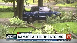 How to avoid scams during storm cleanup