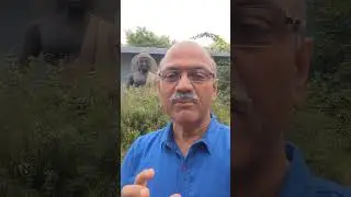 Jam135:5 tips to start anything new; #shorts #krupavibes #tips #success #trending #youtubeshorts