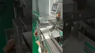 Uncapped glass bottle sauce online checkweigher weighing scale with Dual channel swing arm rejector