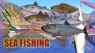 Russian Fishing 4 RF4 Norwegian Sea. FISHING FOR SMALL FISH