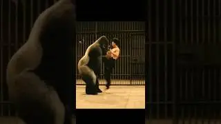 Gorilla vs Bruce Lee in Cage Fight #gorilla #brucelee #cagefight #viral