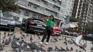 Feeding the Downtown Doves: The Birds of the City #DoveInLebanon #igorotaheartvlog 