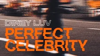 Lady Gaga / Perfect Celebrity (Male Cover)