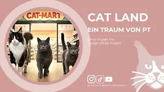 CatLand - Ein Traum von PT