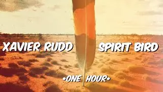 ✨Spirit Bird &bull; Xavier Rudd (1 Hour Extended Mix)✨