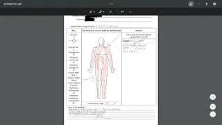Force Manipulation with Cannula Embalming