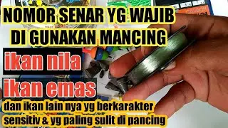 UKURAN SENAR PANCING IKAN NILA IKAN EMAS YG WAJIB DI GUNAKAN ( NOMOR SENAR YG PALING POTENSI)