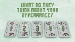 Their Thoughts About Your Physical Appearance 💐✨| 🌿 Tarot &bull; Pick a Card Reading 🌟