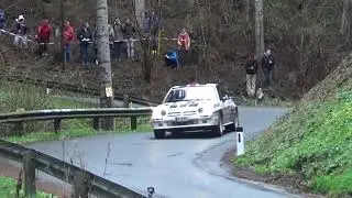 Weinberger Holz Lavanttal Rallye 2019 -Sepp Haider-Wolf-Dieter Ihle