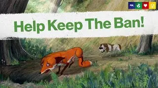 Trail Hunting Is A Smokescreen | Short Film Narrated By Chris Packham