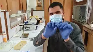 Thin layer chromatography practical demonstration
