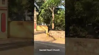 Gorai to Manori Beach Morning Ride | Scooter Ferry Ride with Father | Mumbai