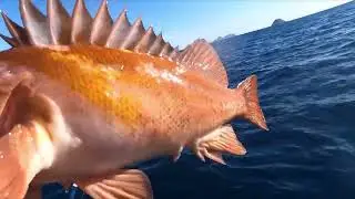 How to: Advanced Rock Cod Fishing Tactics on Private Boat San Diego 2025