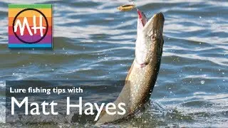 Learn lure fishing tips with top angler Matt Hayes!