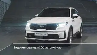 Новый Kia Sorento | Дизайн и технологии