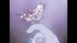 L A S T  l i v e s