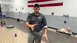 A Full Tour of Dog Training Elite Treasure Coast