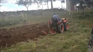 Agria 8980 | Charrua Ribatejo