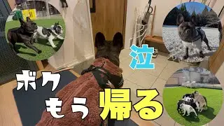 夢の国フレブルランドも3日で飽きた⁈やっぱり自分のお家がいいよね～