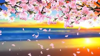 spring flower with beach background animation. eye pleasing, meditation and relaxing background.