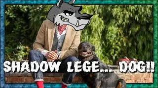 Shadow Legend VR | BUT ONLY WITH THE DOG