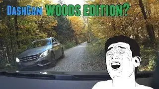 Daily Observations and Trolls of the Week 88 ✦ Nice Drivers Compilation ✦ [Dashcam Germany]