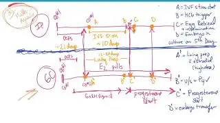 Fertility Treatment Videos 3rd Party Reproduction Part 3d: Gestational Carrier to End