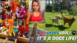 Pet Smart Haul! Spoiling Our Golden Boy! Mood Boost Pup Montage & Vlog 🐾