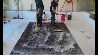 Home Business Area Rug Cleaning Restoration Service in Las Vegas NV MGM Household Services
