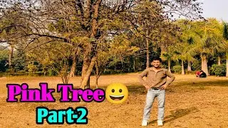 Mera Pink Tree Kharab Ho Gaya 😭 | Sad Vlog #trending #vlog #youtube #funny #dailyvlog #comedy #viral
