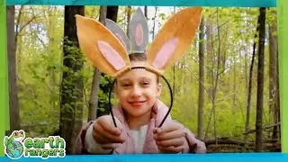 Got Your Ears On? | Earth Rangers