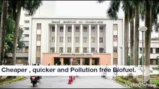 Biodiesel a pollution free fuel