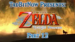 Hungry Like a Wolf &mdash; LEGEND OF ZELDA: TWILIGHT PRINCESS (WII)
