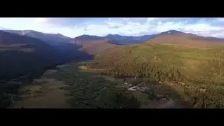 Why Forests Matter with Sarah Hart