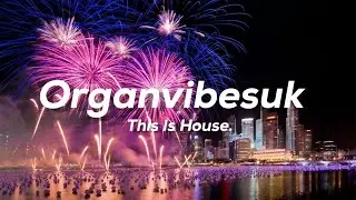 OrganVibesuk New Year Organ Bassline 2026 Mix By Levi Batkin!!