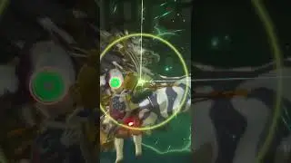 Short Combat Clip (why did this take me an hour and a half) #botw #gaming #zelda #shorts #nintendo