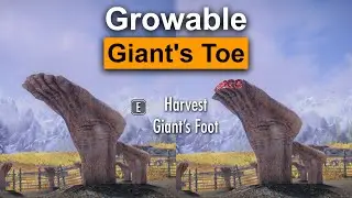 Skyrim Mod Showcase: Growable Giant's Toe - I'm Sorry