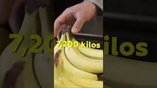 Cocaine hidden in bananas: Main Cocaine Smuggling Routes