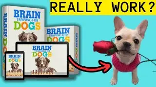 BRAIN TRAINING FOR DOGS 2025 &ndash; REAL RESULTS &ndash; CAN THIS TRAINING PROGRAM IMPROVE DOG BEHAVIOR AT HOME