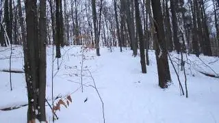 Beautiful Ardagh Bluffs in the Winter