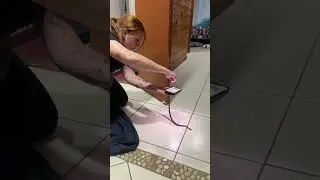 snake in the house!