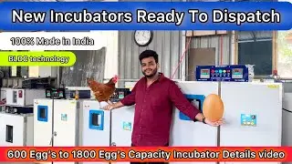 Best Incubator For Chicken Eggs With 80% Efficiency Chicken Hatchery poultry Eggs Incubator #viral